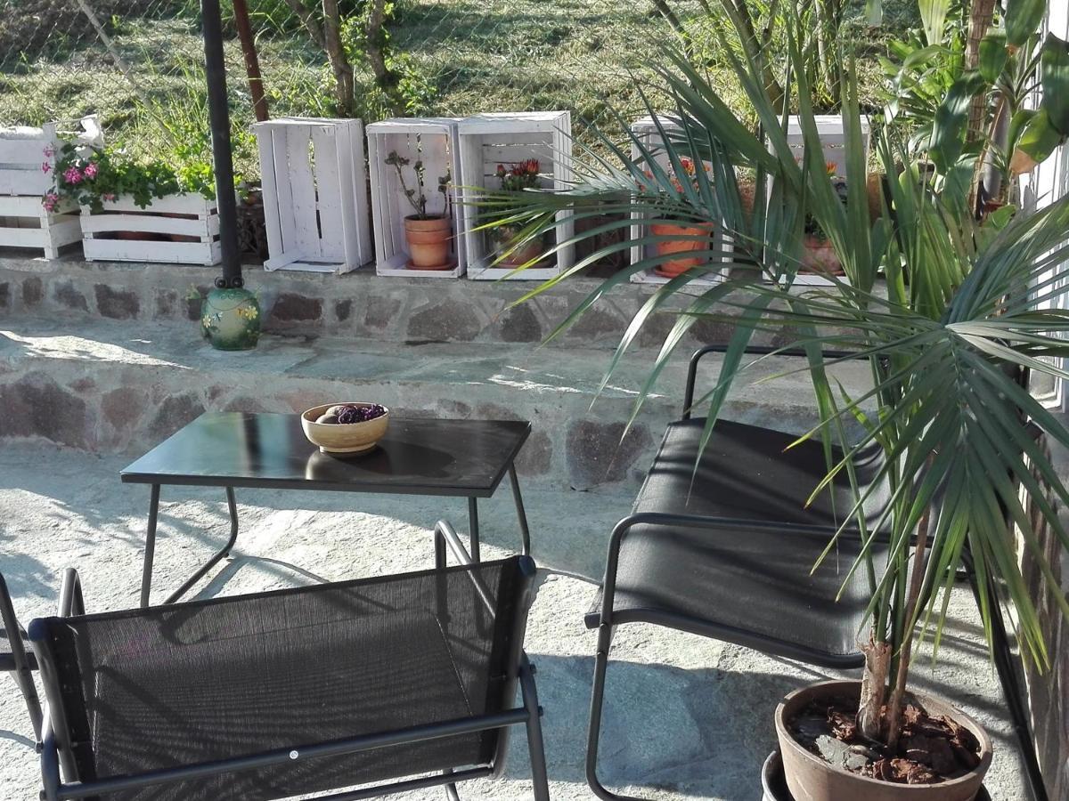 La Casa Nel Sole Apartment Alessandria Exterior photo